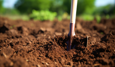 Soil Preparation
